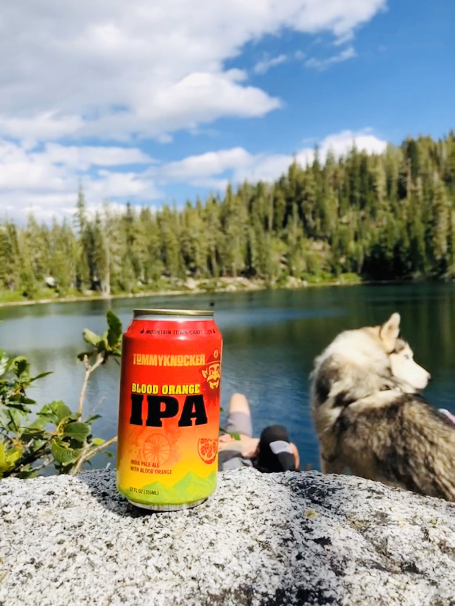 Tommyknocker Brewery tweet media