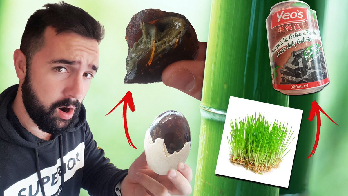 DllShadow's tweet image. MA PIRE DEGUSTATION - Œuf de 100 Ans et soda à l'herbe 🤢🤢🤢
youtube.com/watch?v=CUErdy…