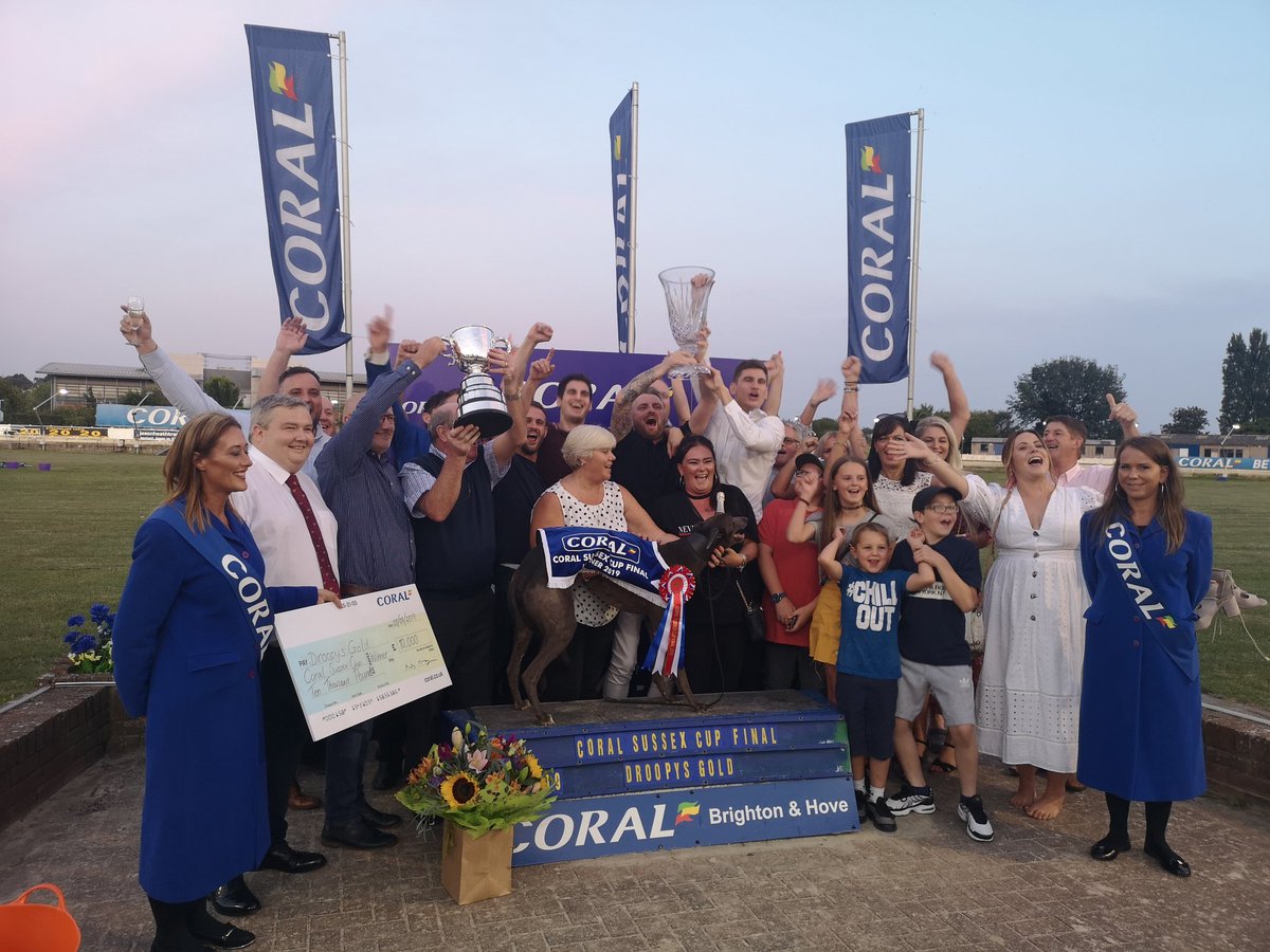 Droopys Gold.. The Coral Sussex Cup Final 2019 winner! #winner #teamcahill #sussexcup #final #greatrun