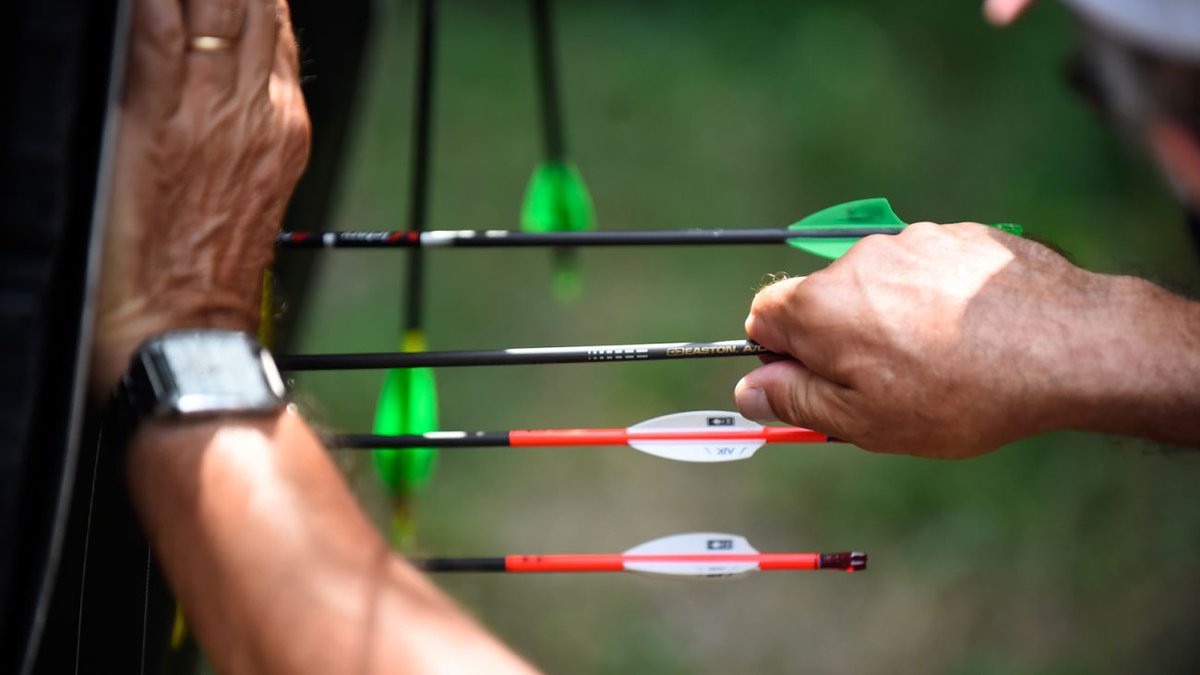 NEWS. Field #archery champions crowned at the Torino 2019 European Masters Games 🏹🎯 <a href="/EMGTorino2019/">EMG Torino 2019</a> @IMGALausanne worldarchery.org/news/172964/fi…