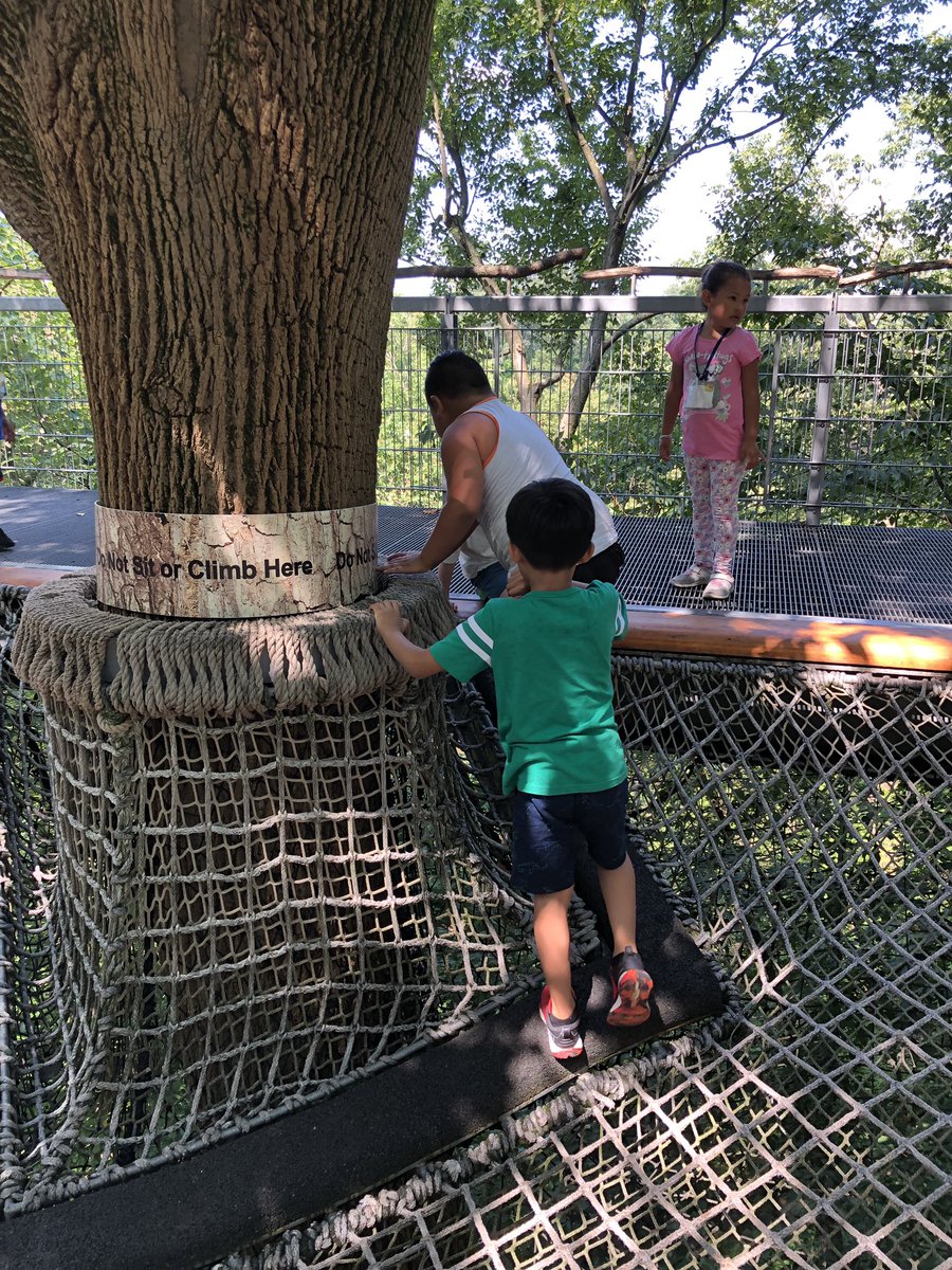 _ACLAMO_'s tweet photo. Our little ones had a blast at @morrisarboretum today learning about trees and water! We love playing outside! Awesome day! #ACLAMOSTEAM #ACLAMOSummerProgram #summerlearning https://t.co/SoocE26VZp