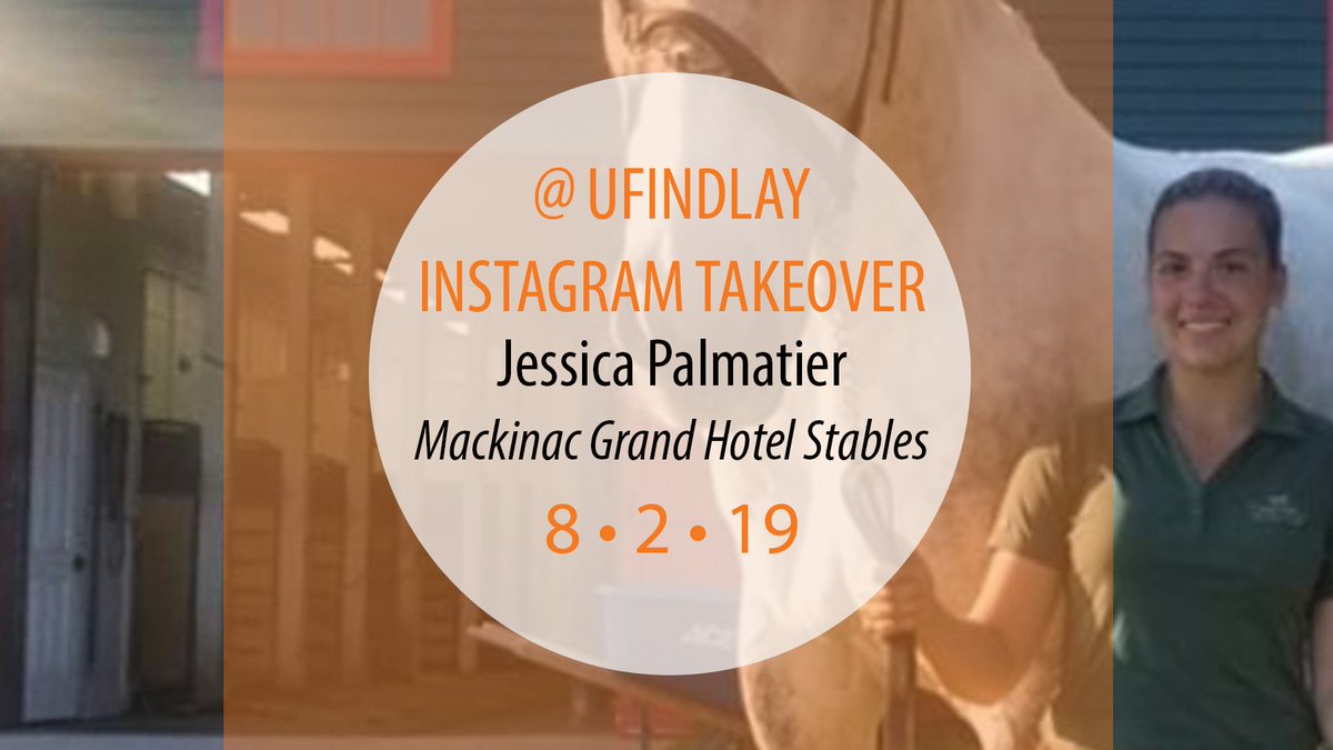 ufindlay's tweet photo. Jessica's internship could lead to a "stable" career! ๐ She's working with horses at the Grand Hotel Mackinac Island Stables, and wrapping up our Summer Internship Week takeovers tomorrow. #UFindlayTakeover https://t.co/jrSkR3mxv2