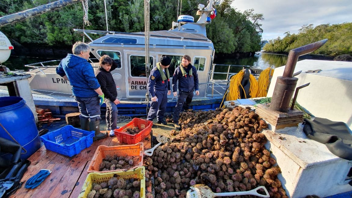 DIRECTEMAR - Armada de Chile tweet media