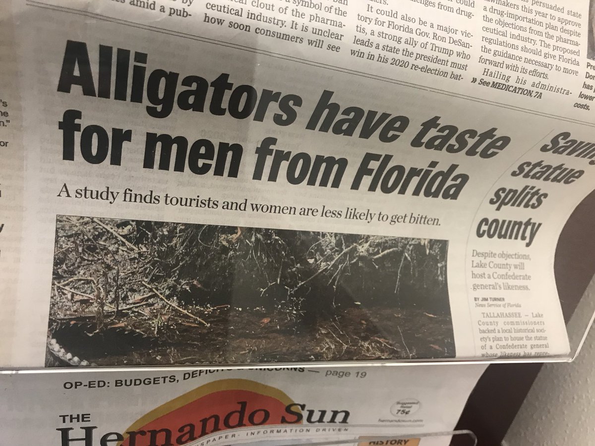 Amy Hall tweet media