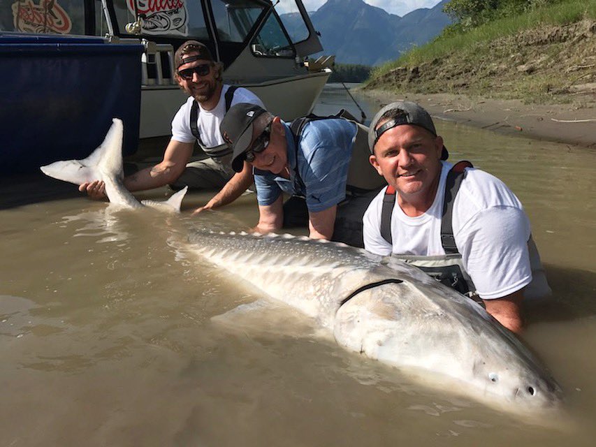 Ladd Foundation tweet media