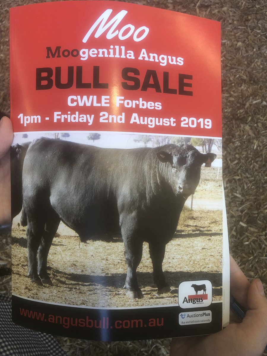 Alister Bennett tweet media