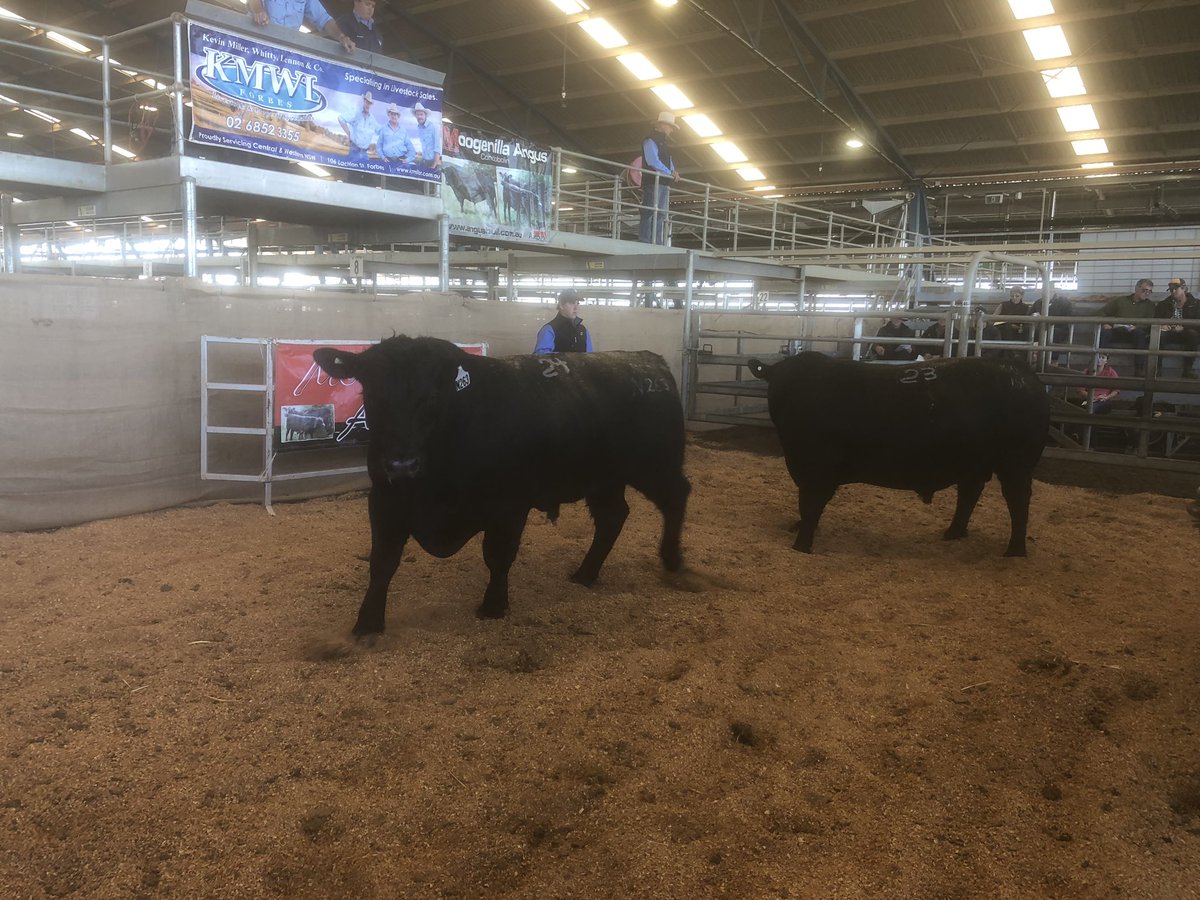 Alister Bennett tweet media