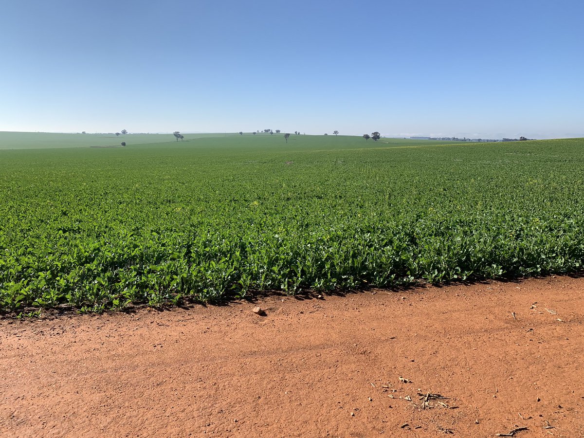 Alister Bennett tweet media