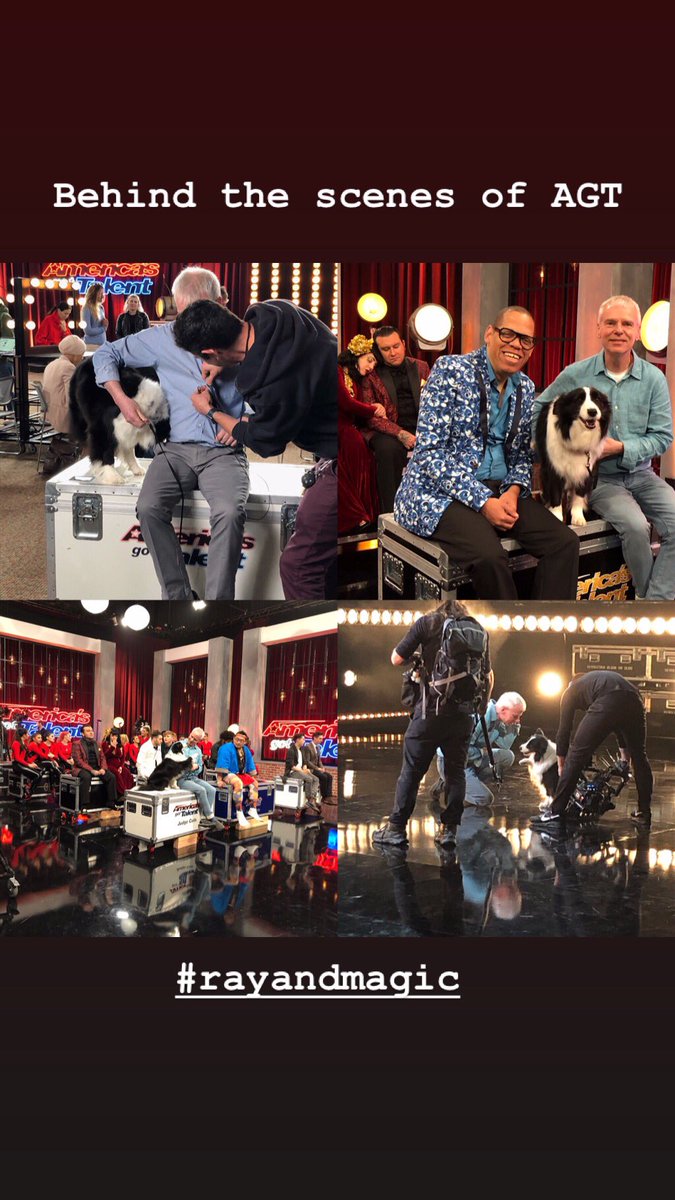 RayandMagic's tweet image. 