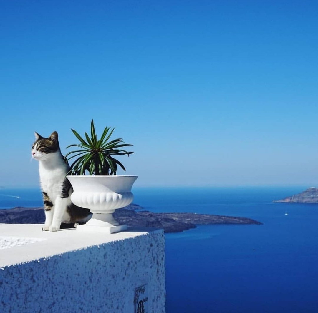 Ferrari Silvia Grazie Carissima Contraccambio I Tuoi Auguri Con Tutto Il Un Forte Abbraccio Affettuoso