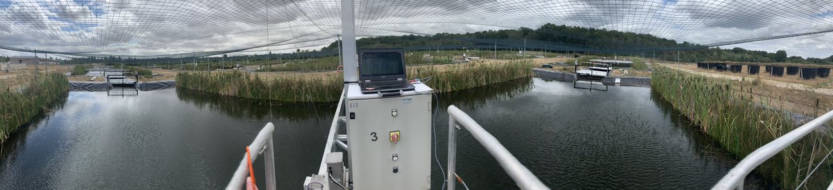 Just finished up some day and night #zoop sampling at #PLANAQUA <a href="/aquacosm/">AQUACOSM</a> today! 8 ponds down, 8 more to go! <a href="/jondoubek/">Jonathan Doubek</a> <a href="/MysidQueen/">Rosie Chapina</a> @GoldfarbSadye @dvm_uvm
