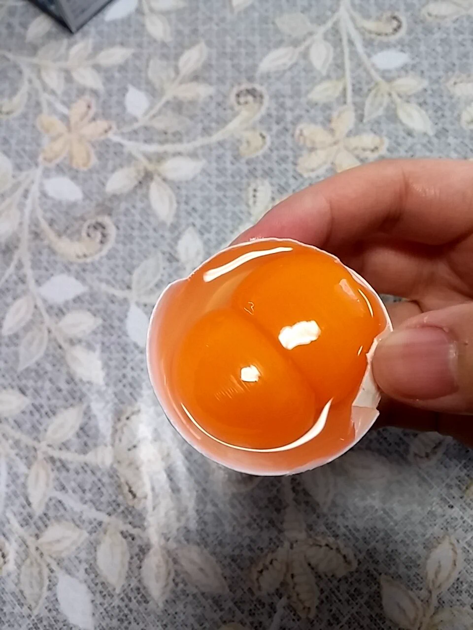 卵が双子になる可能性は0.04%らしい