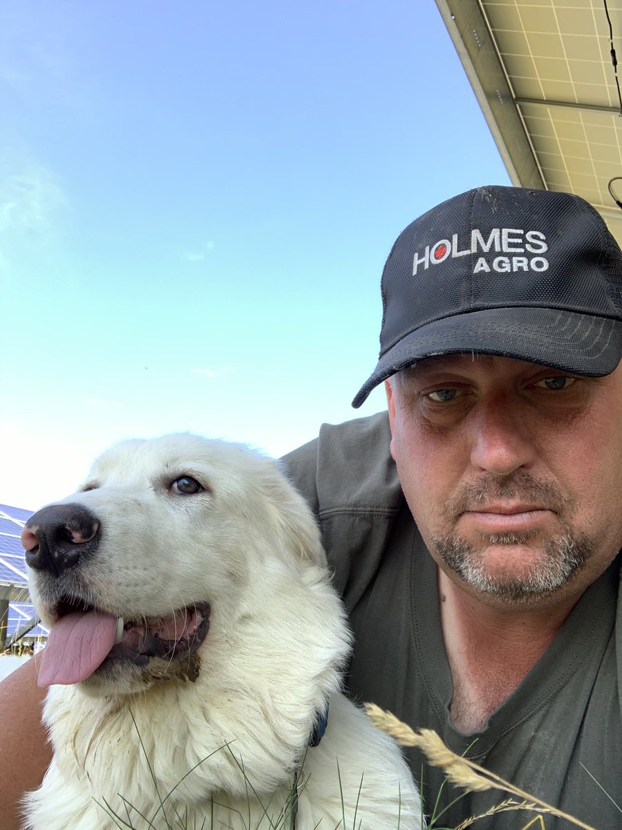 james lewis tweet media