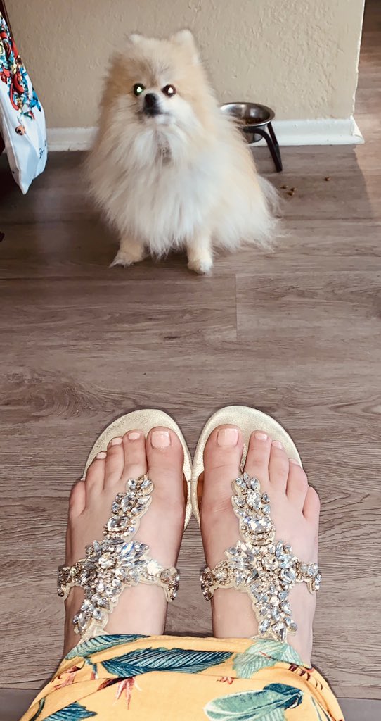 Make_LifePretty's tweet photo. Perfect @ThePeninsulaBH pedi by The fab Akemi in my @BadgleyMischka sandles. Pomeranian approved! #pedi #peninsulahotelbeverlyhills #makelifepretty #summershoes #badgleymischka #sparkles https://t.co/LZfdfxditQ