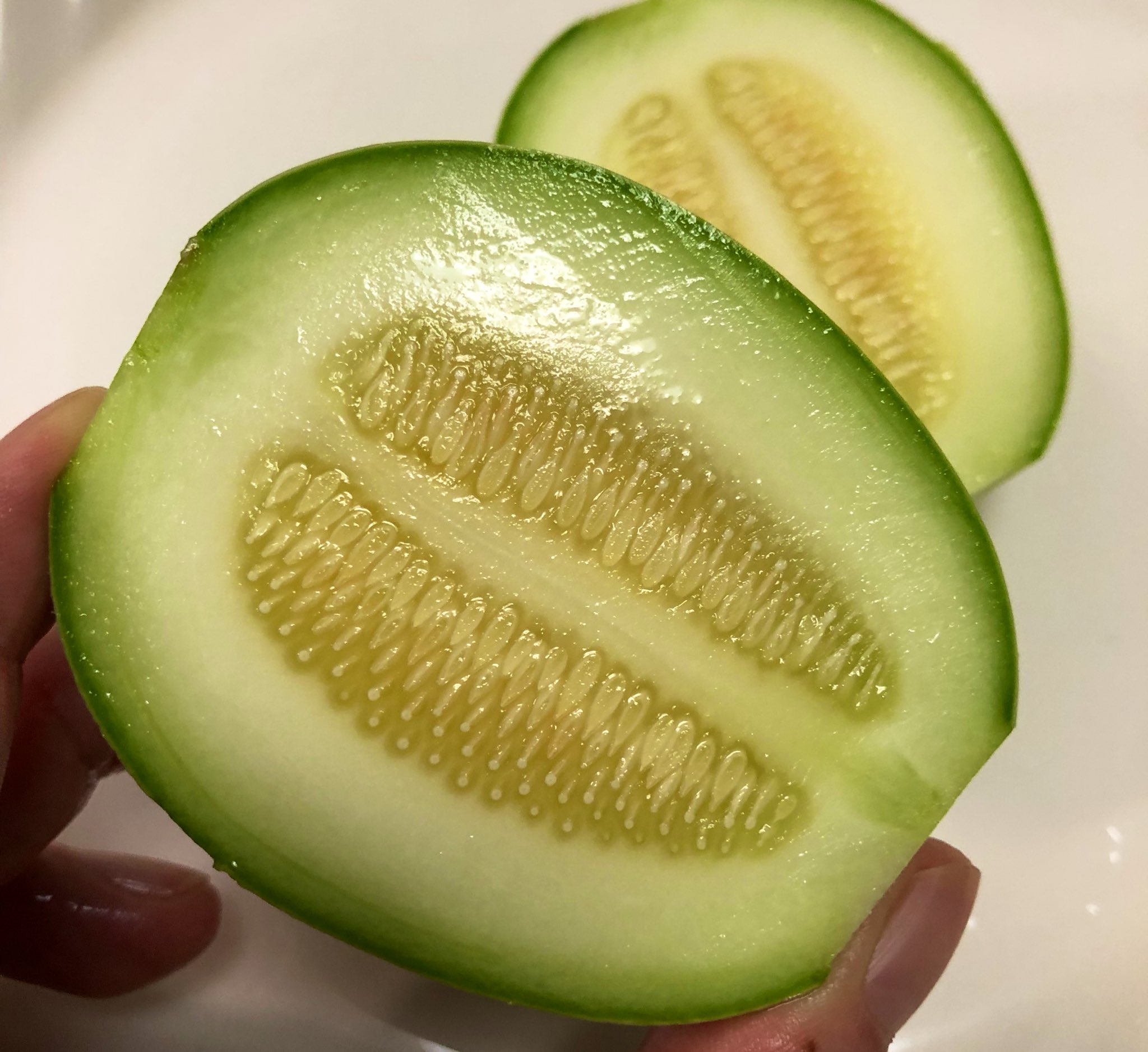 加藤メカ 摘果メロンを浅漬けにして 生ハムとあわせてみました 一口サイズの生ハムメロン 種も皮も気にせず食べられますよ またどこかで摘果 を探してみよう 朝pon Cbcラジオ 摘果メロン 加藤由香 T Co Anlqkrzxhp Twitter