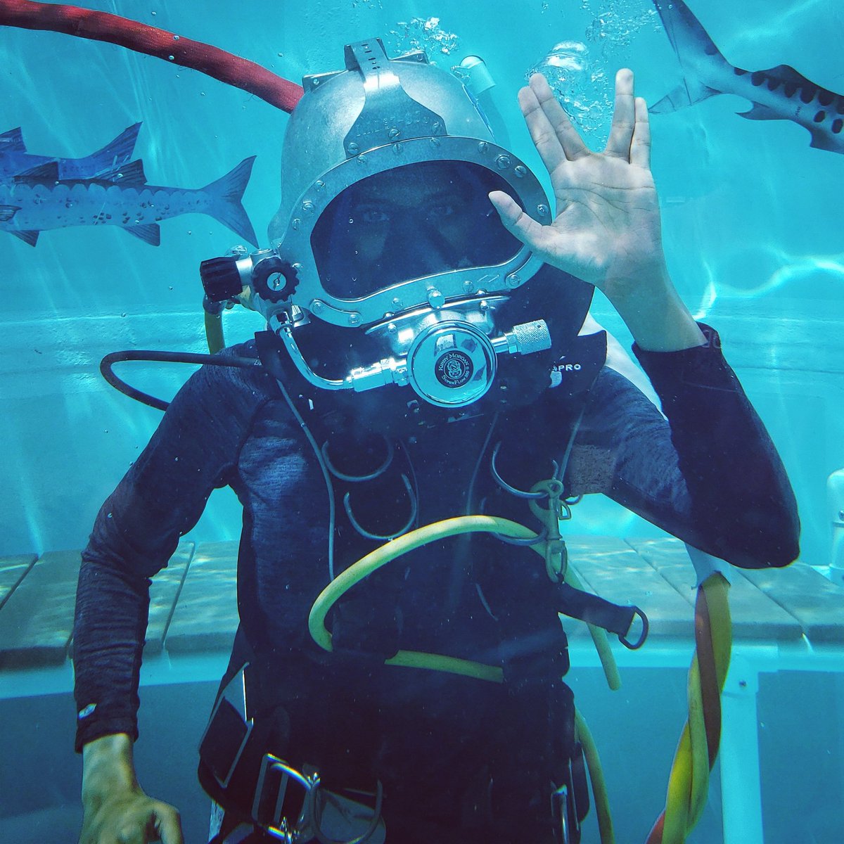 Aquanaut Twitter Search