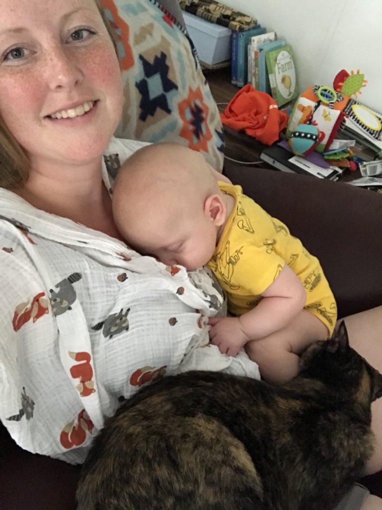 SamSentes's tweet photo. When it’s 25 degrees in the house and everyone decides it’s cuddle time #warmish https://t.co/8W4ovf9gDO