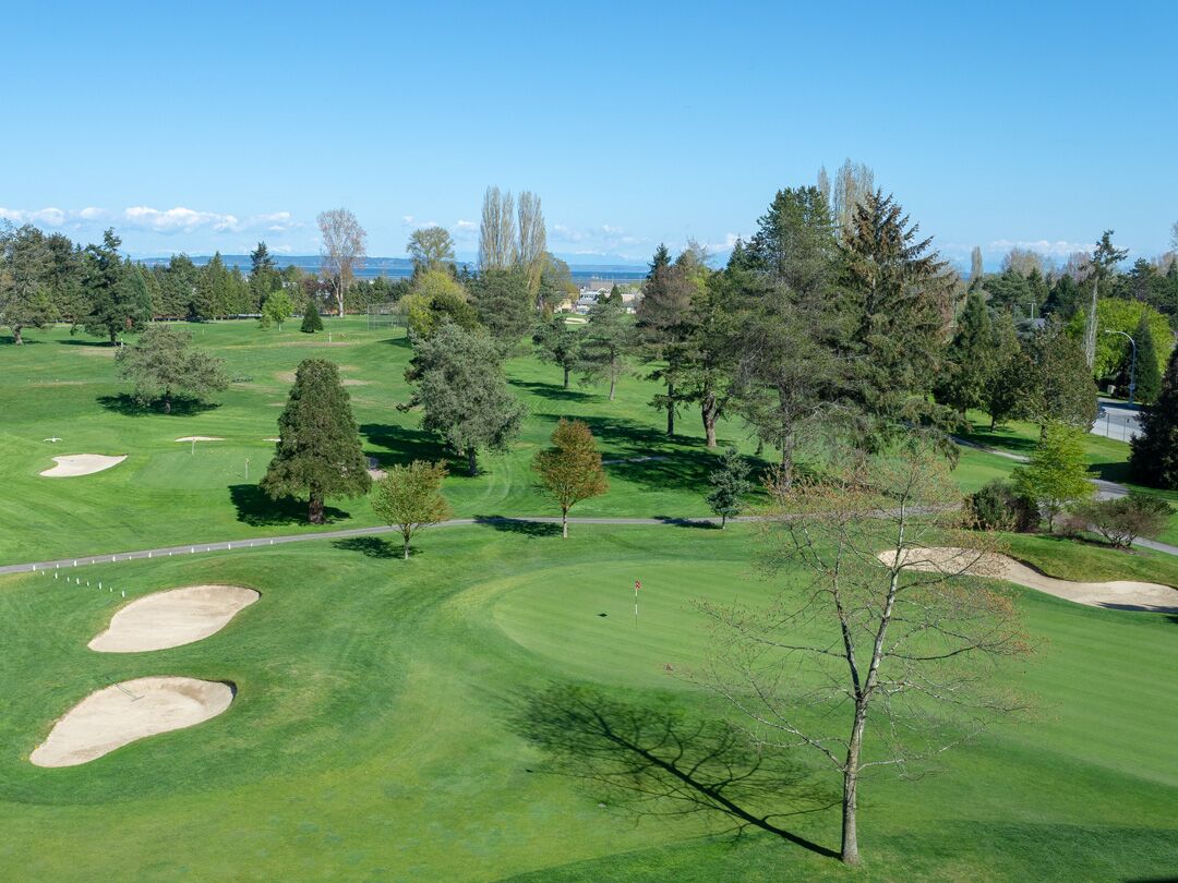champions club at summerfield summer membership