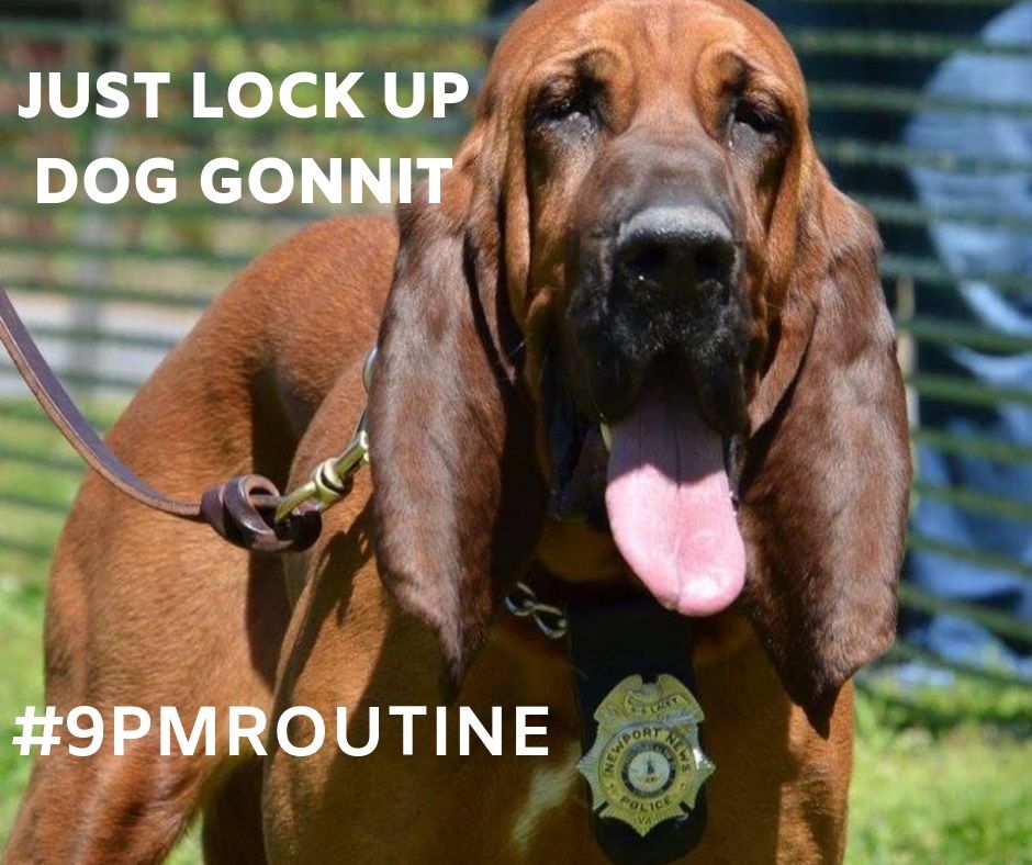 NewportNewsPD's tweet photo. #9pmRoutine #NNPDK9Unit https://t.co/25sIxmOrRs