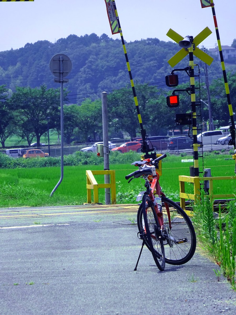 「自転車で山登って、山と田んぼに囲まれたカフェーへ言ってきました夏をめちゃ満喫でき」|懐中電灯（たかさん）のイラスト