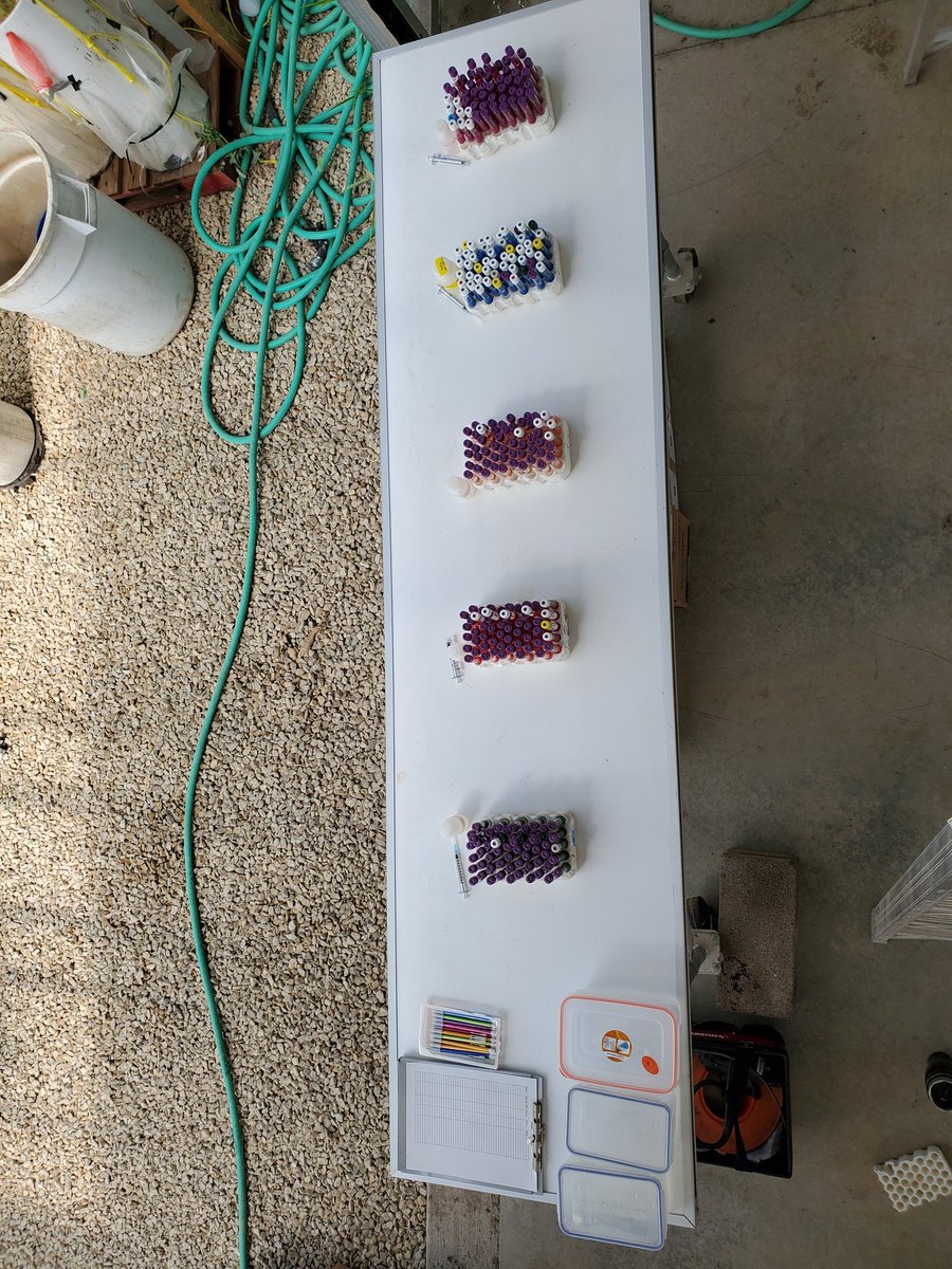HanschuJanaye's tweet photo. Before and after MIMS sampling. A day well done! #MAPS2019 https://t.co/p6uGXdvmAe