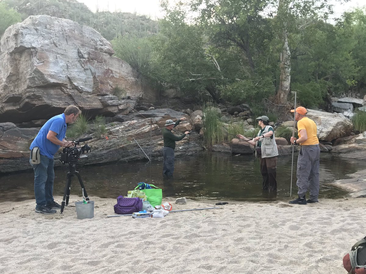 They’re “fishing for bats” in Sabino  Canyon &amp; we’re tagging along for a future <a href="/azIllustrated/">Arizona Illustrated</a> story.  @azpm <a href="/onlybobjustbob/">Robert Lindberg</a> @AZPMnews