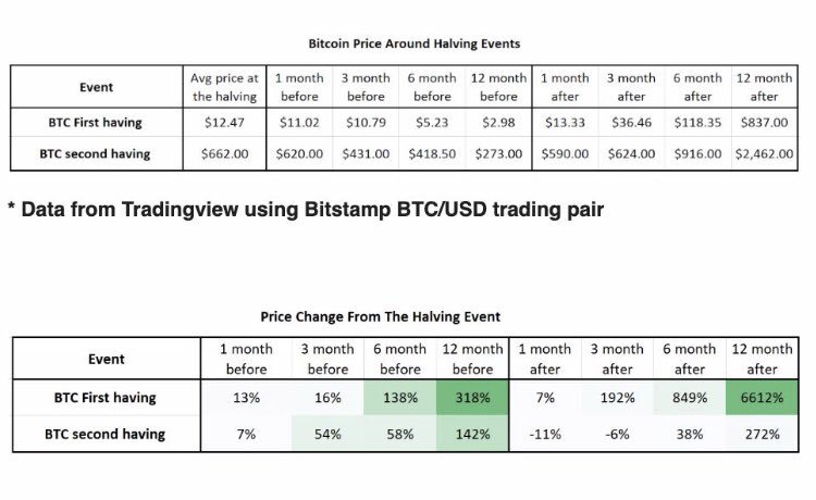 Bitcoin's Price Around the Halving. (Source: Token Daily Capital)