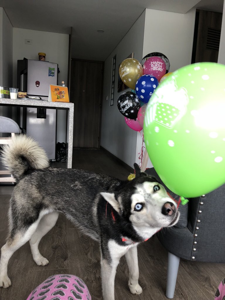 Fechiebu's tweet image. 