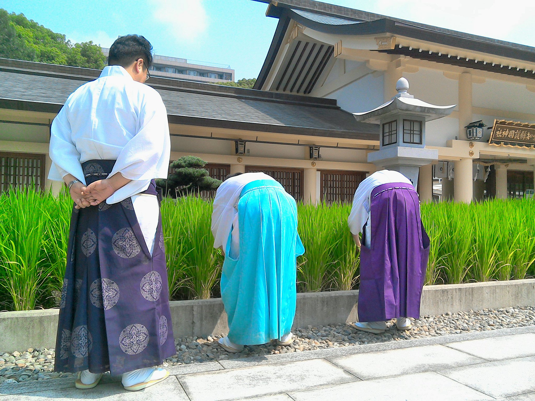 神職 装束 差袴 紫 くすぐったい 