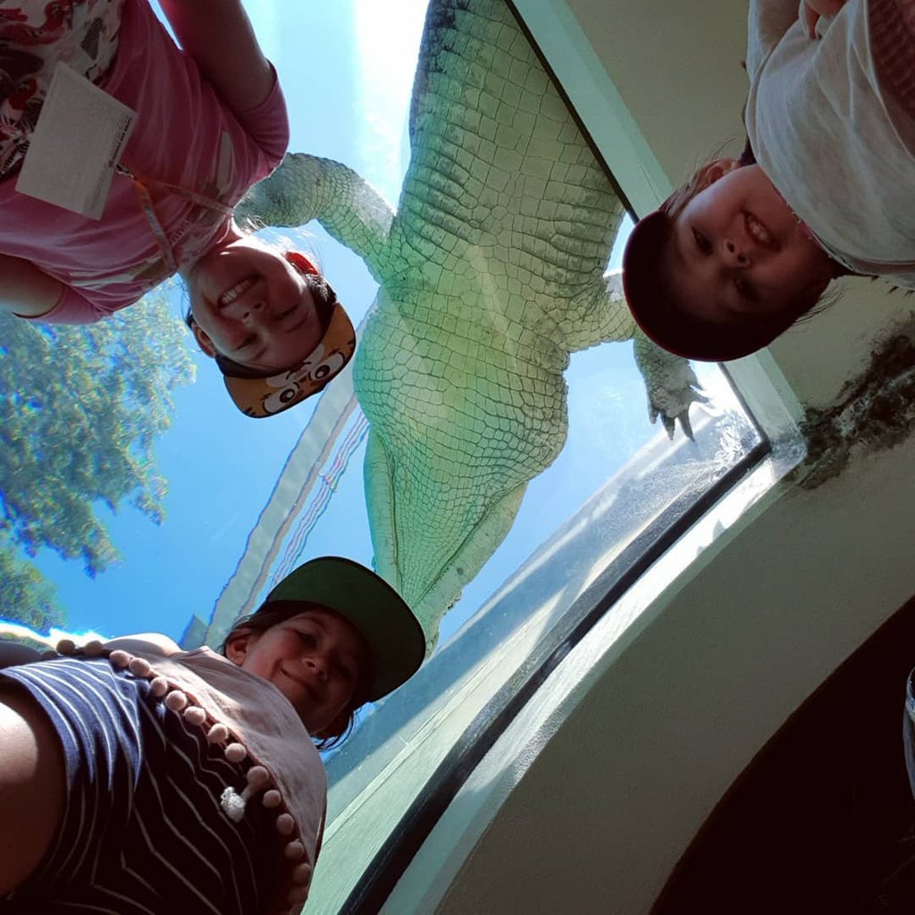 It's #SelfieSaturday and Axel has made a special appearance! Photo by @sarawann_thislife (via IG) 

#crocosauruscove #croccove #croccovedarwin #cageofdeath #cagediving #ntaustralia #seeaustralia #darwin #darwinnt #australia #tourismtopend #mytopend #visitdarwinnt #dothent