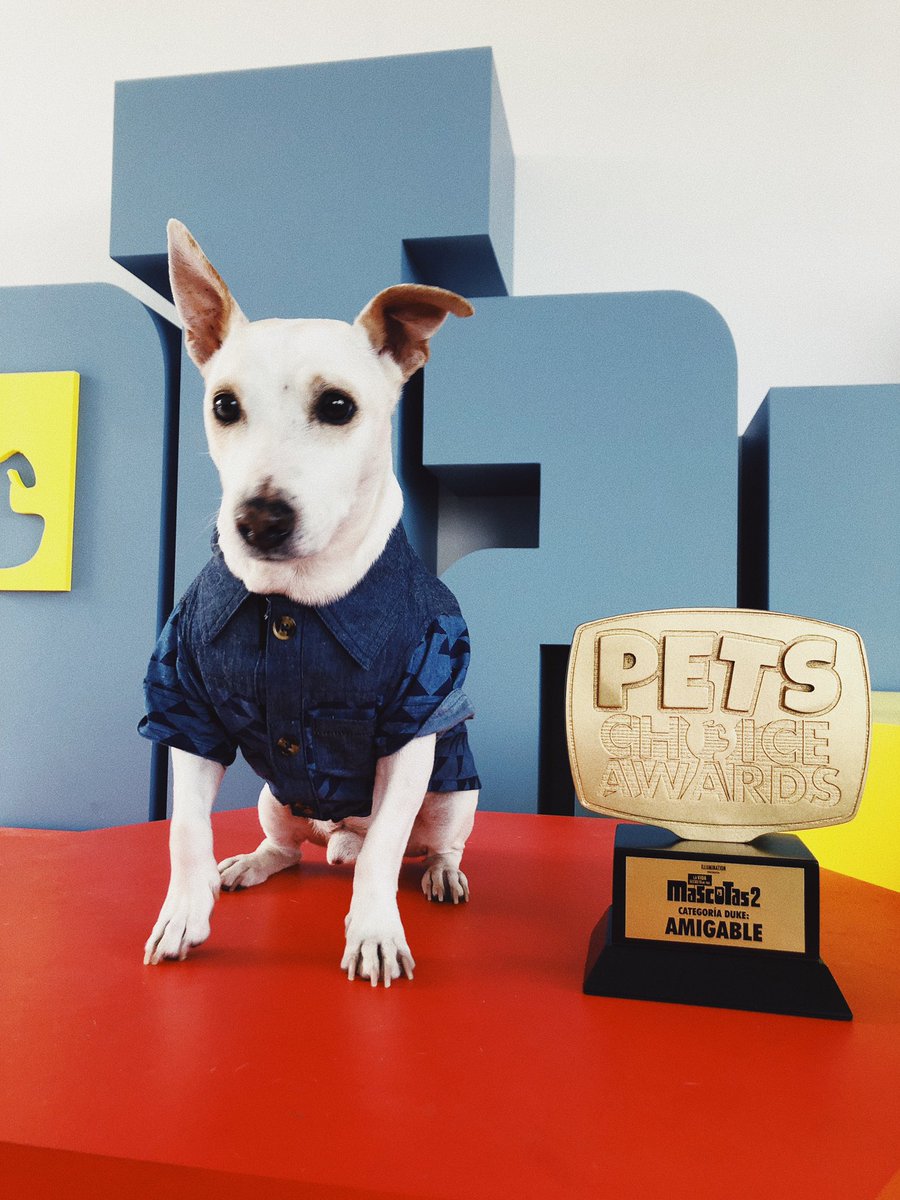 DhasiaWezka's tweet photo. Mailo ganó su primer premio, soy una mamá orgullosa. ♥️🏆🐶 #PETSCHOICEAWARDS @UniversalMX https://t.co/5y2ciOpb9B