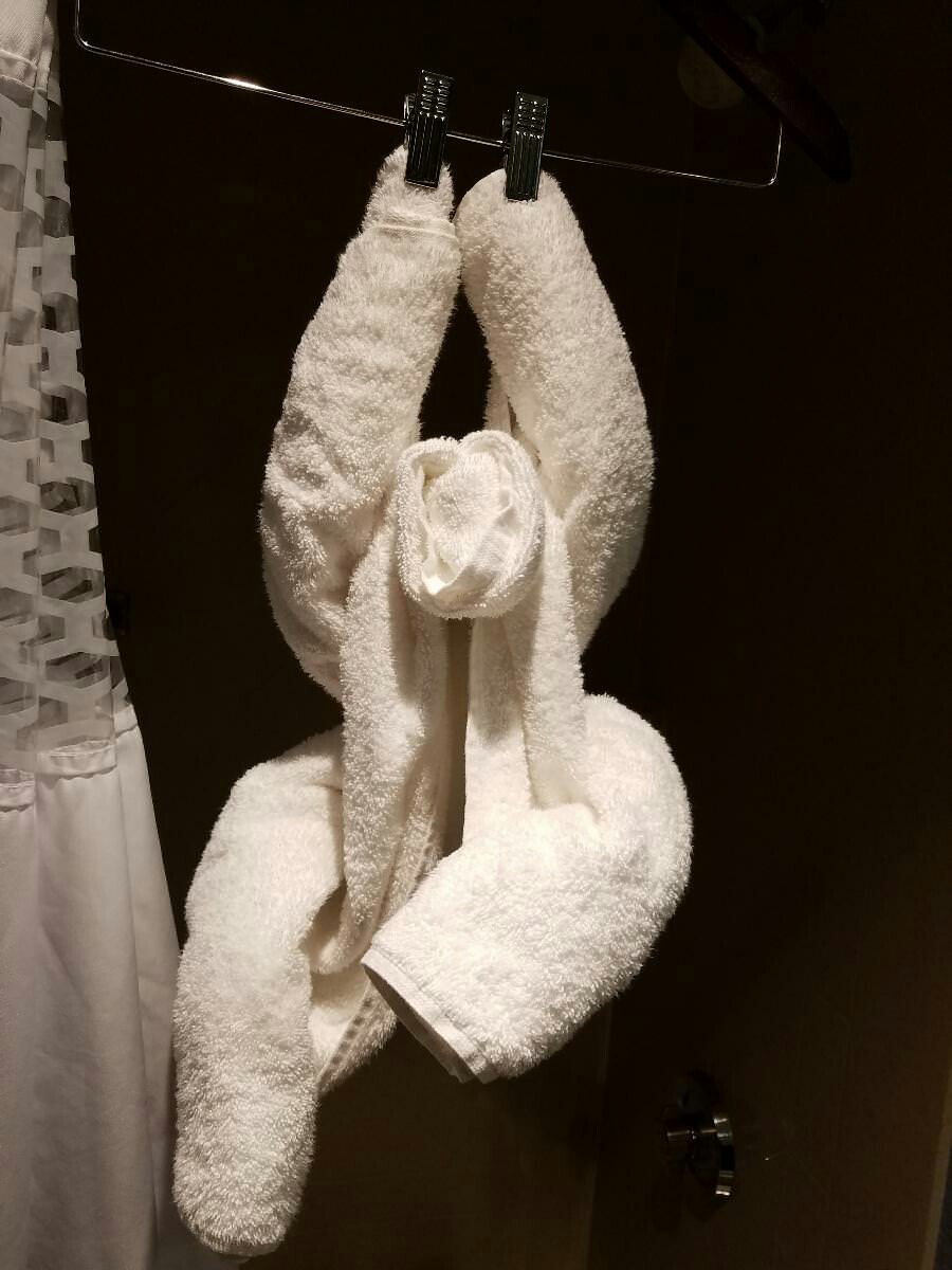 sgitsp's tweet photo. @FishGuyKai My first thought was, "Awww a chicken?" https://t.co/vEo8ZZ5BWw