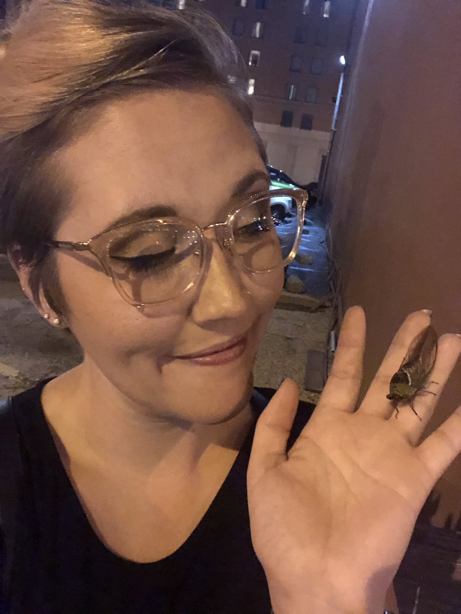 bugcatcherkate's tweet image. #BugCatcher to the MAX tonight 😭 I'm so happy 
#cicada #midwest
