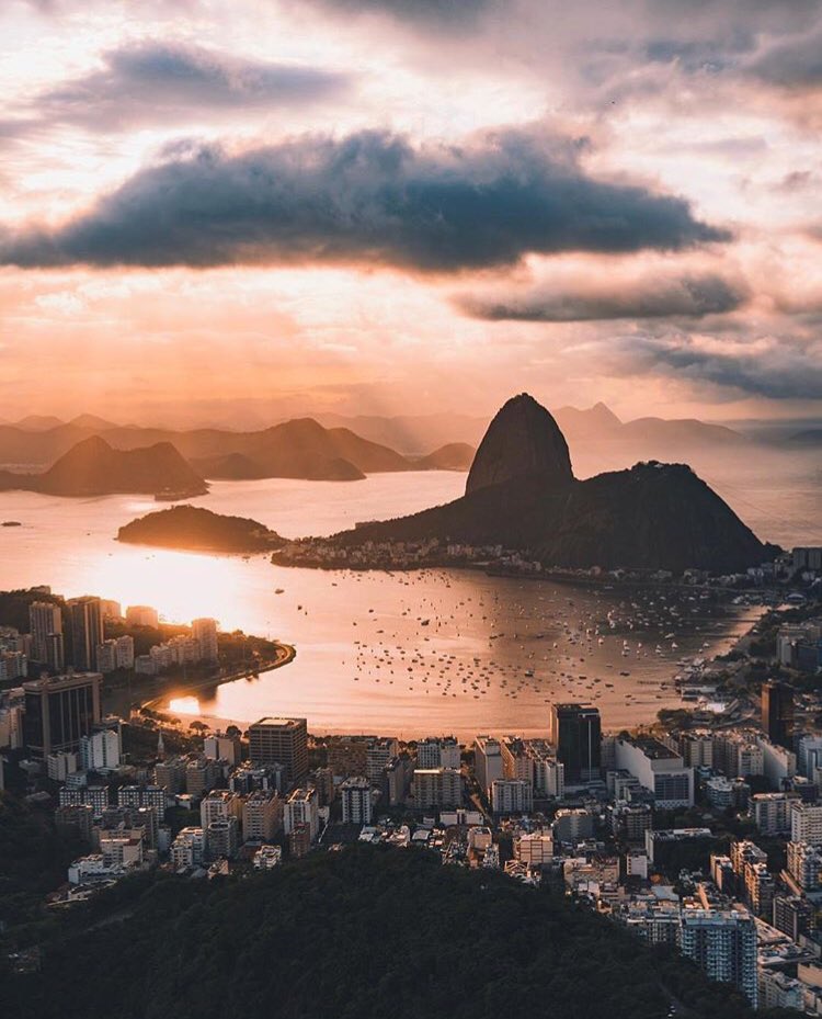 Wild Earth tweet media