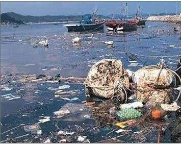 まりな Sur Twitter イトーヨーカドーのセブンプレミアム ひじき ワカメは韓国産 いい加減これを販売するのはやめてもらいたい 韓国の汚い海で採れる海藻から日本人の胃を守る為に セブンプレミアム イトーヨーカドー T Co 8zxkunpi7r Twitter