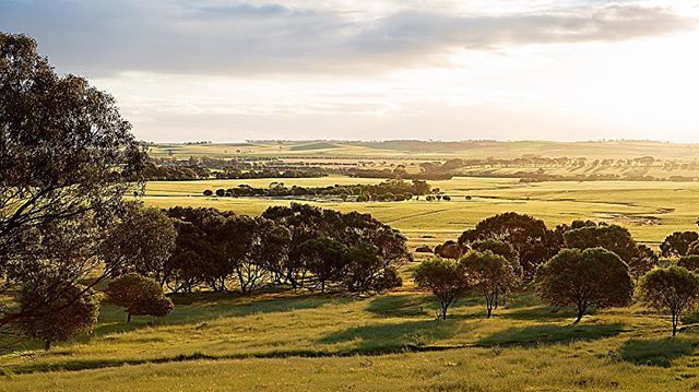 @dumbleyungshire #dumbleyung #countryliving @countrylifepossibilitieswa @australiasgoldenoutback 📷 Christine Bairstow ift.tt/2YAHLUd