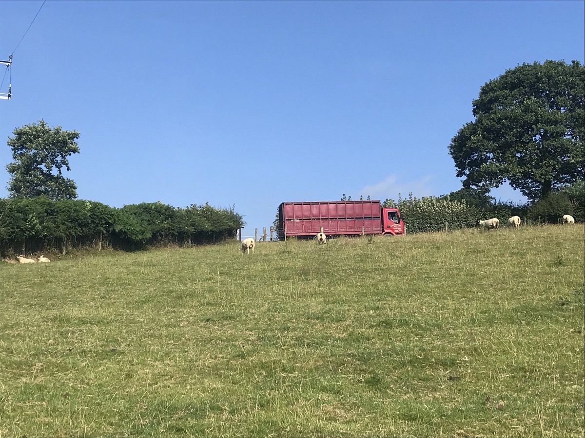Its may be a glorious sunny Friday, but for us, its another heartbreaking day as another 6 of our homebred dairy cattle gets taken away. All because they reacted positively to the TB skin test. How is this fair? #WeAreWelshFarming #TeamDairy #TBfree 🐄💔