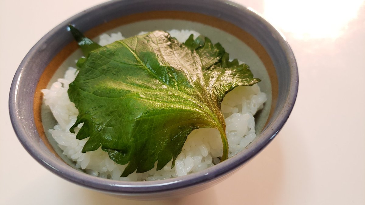 今年も 合法ハーブshiso ネタがバズる季節がやってきた レンジ飯 でおなじみリュウジさんの 大葉の浅漬け で無限に米を食いたい Togetter