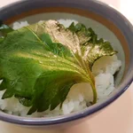 白米が進んで仕方ない大葉の浅漬けの作り方はこちら!