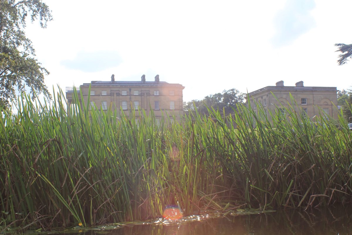 ShrewsCanoeHire's tweet photo. The view from the canoe it all starts today @AttinghamParkNT with turn up and hire and prebooking available Friday Saturday Sunday Monday ask us about the activity pass for entry https://t.co/x43zToLsTh #comeandjoinus #visitshropshire #Shrewsbury #gocanoeing https://t.co/qMl9Wlfzok