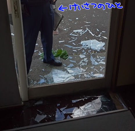 会社に鹿が凸
休日で誰も居なかったからよかったよ!
#誰も羨ましがってくれない自慢 