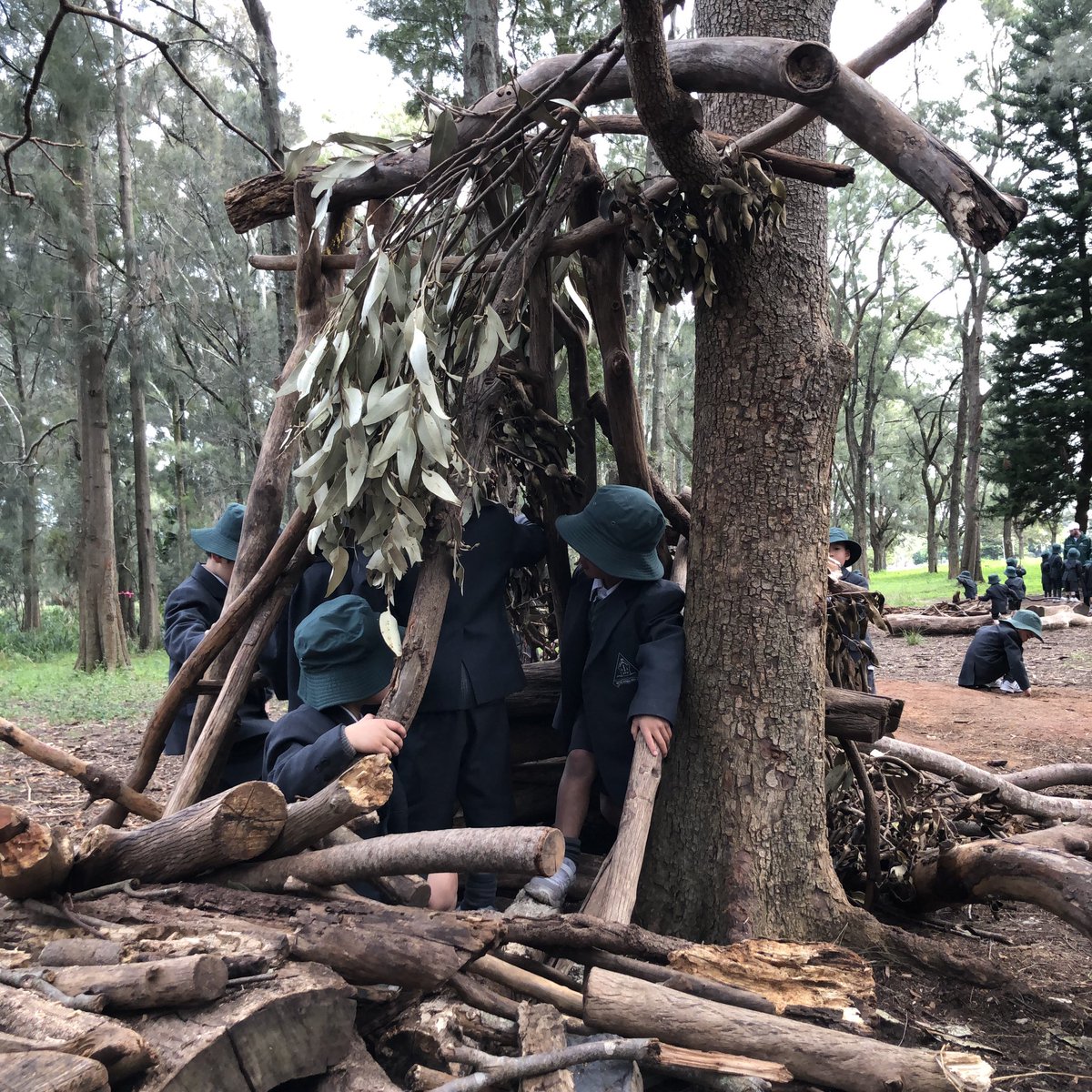 Nothing beats an outdoor classroom for a Sharing the Planet  provocation. <a href="/FionaEvans20/">Fiona Evans</a> <a href="/LizRobi25319877/">Liz Robinson</a> <a href="/AliSchm33498063/">Ali Schmidt</a> #outdoorlearning #play #discovery #PYP