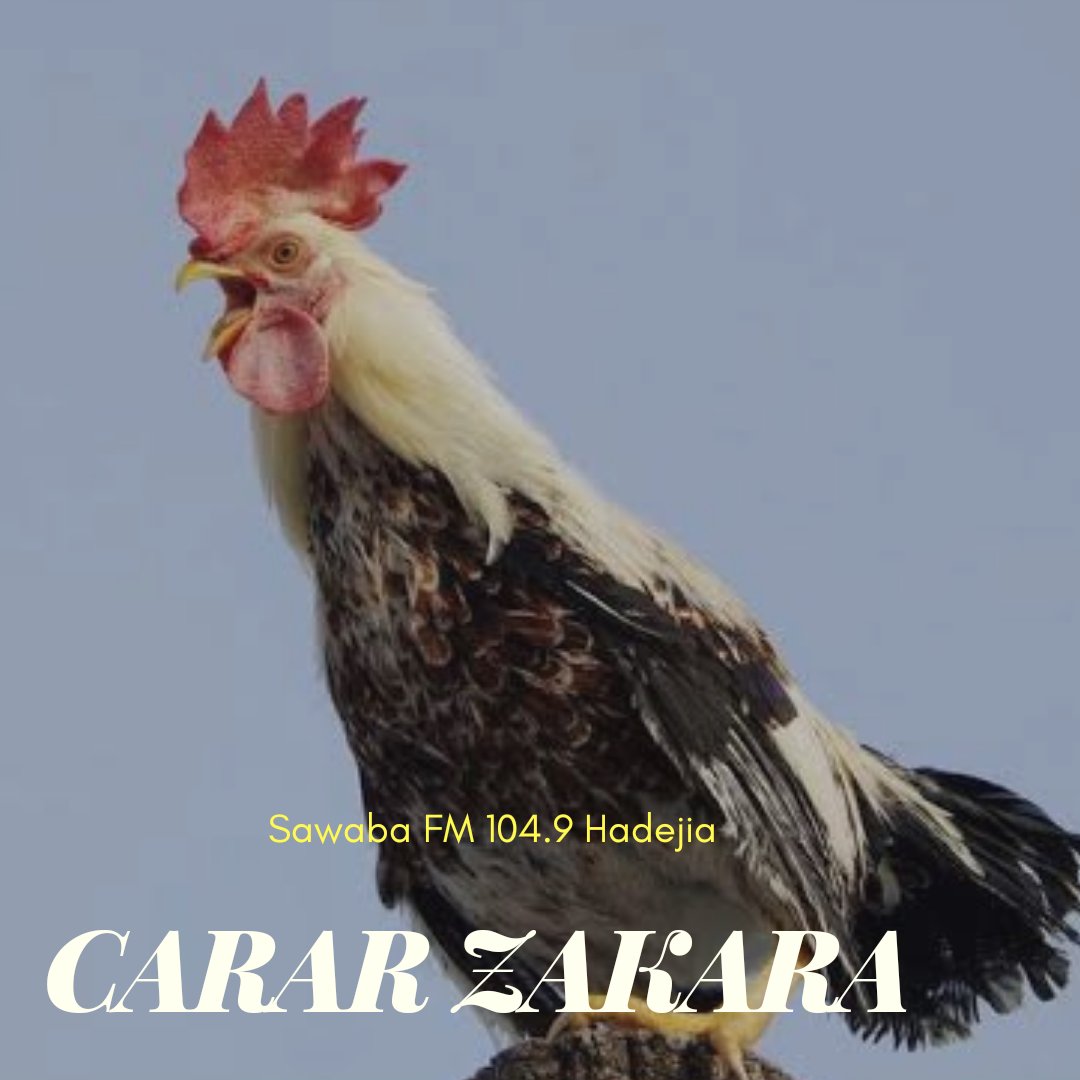 sawaba_fm's tweet photo. Barkanku Da Safiya.
#Carar #Zakara Na Yau 2/8/2019 Juma'atu Babbar Rana Watan Zaku Kasance Tare da Abdullahi Yawale Hadejia Da Salma Nuhu da Kuma Amina Muhd Adam Zai kawo muku shirye-shirye kamar:
6:00am-6:30am: Goro Goma
6:30am-7:00am: Labarun Duniya https://t.co/xcpJAdF4xv