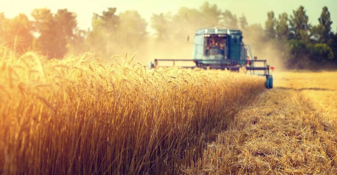 ProSafetyGear's tweet photo. 99% of agricultural workers are exposed to at least one cancer-causing agent, with UV, diesel engine exhaust, benzene, polycyclic aromatic hydrocarbons and wood dust the biggest culprits. #cancer #carcinogens #agriculture #whs #ohs https://t.co/mOWG9CF7tf https://t.co/oLQZEugp6v