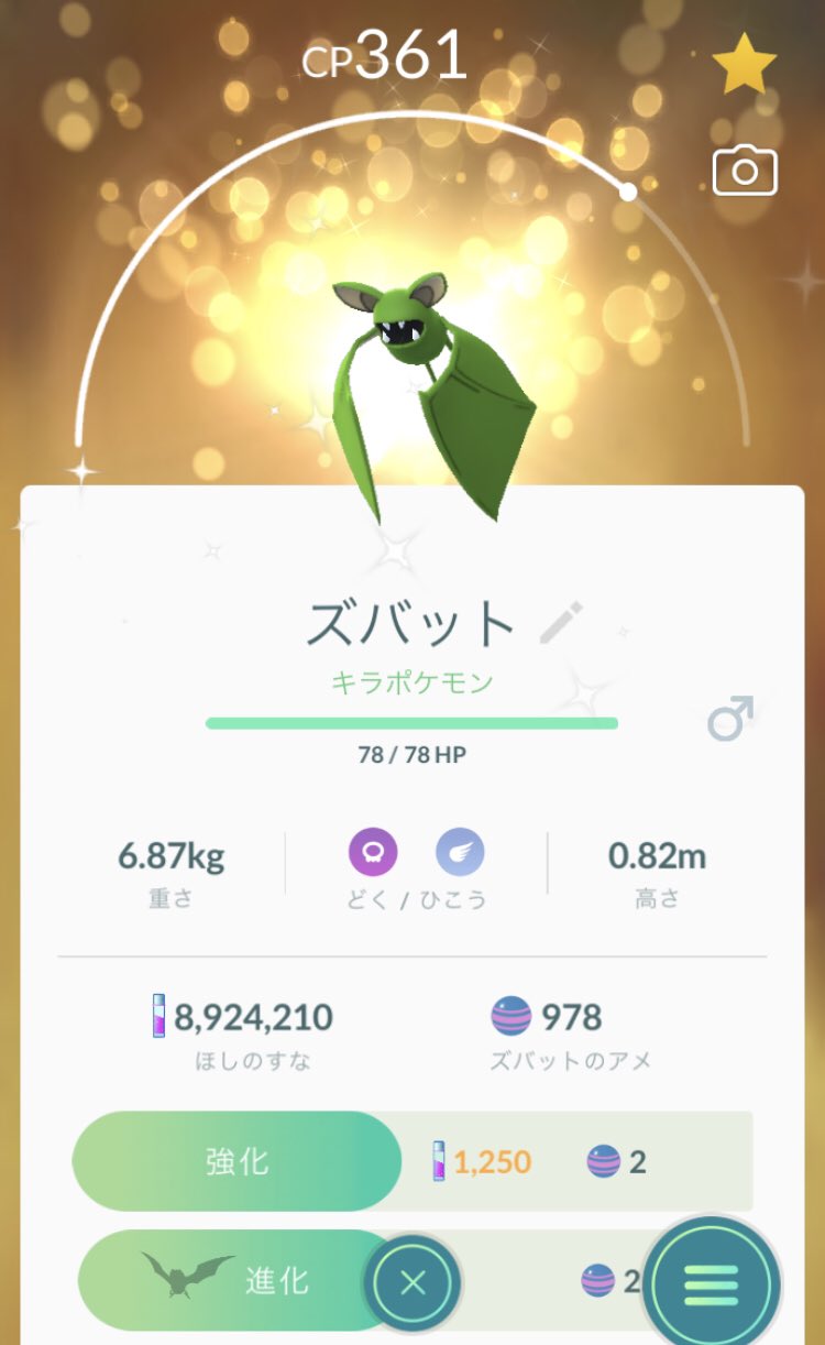 Haosamaqtr Sur Twitter 色違いクロバットってピンクだったのかぁ というかこんなつまらないのに限ってキラる キラ 色違い クロバット ポケモンgo ズバット Haosamaqtr Sur Twitter 色違いクロバットってピンクだったのかぁ というかこんなつまらないのに限ってキラる キラ 色違い クロバット ポケモンgo ズバット