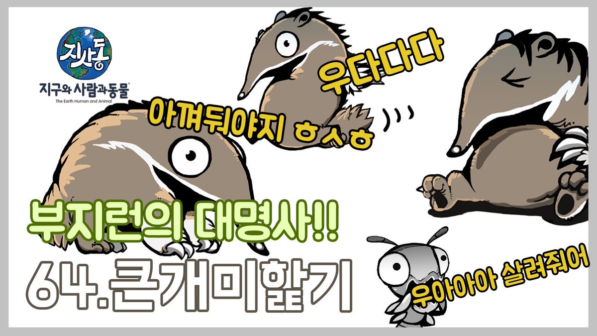 JRgroup_Anij's tweet photo. 개미는(뚠뚠~♪)오늘도(뚠뚠~♬) 열심히 일을하네(뚠뚠~♩)
개미핥기도(뚠뚠~♪)오늘도(뚠뚠~♬) 열심히 일을 하네(뚠뚠~♩)
🐜😱😵
📕 유튜브 : https://t.co/JVG4T1sCNx
📗 네이버TV : https://t.co/ZclAX02xTq

@JISADONGcom  #지구와사람과동물 #제이알그룹 #개미 #개미송 #뚠뚠 #개미핥기 #옴뇸뇸 https://t.co/bHl0IMudN7