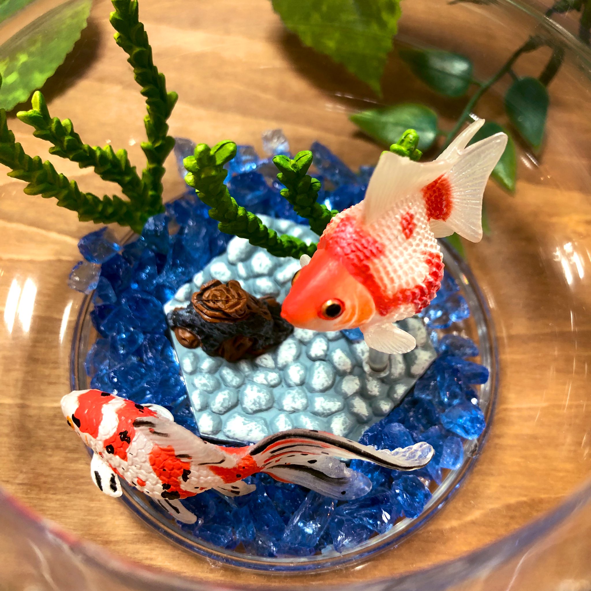 未開封 金魚立体図鑑 全8種 フィギュア まとめ売り Amazon.co.jp: ミニ金魚フィギュアセット ミニチュア金魚の置物