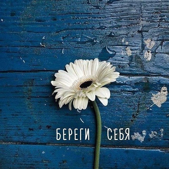 Картинки, картинка береги себя прикольные