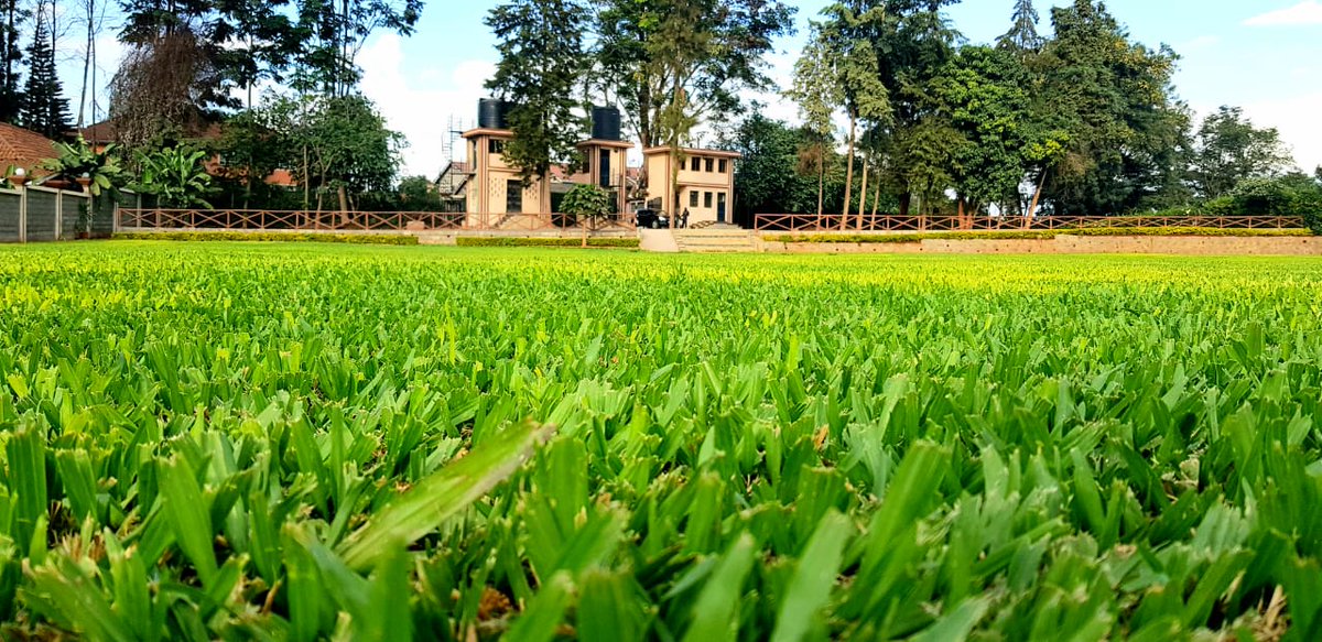 With only 21 weeks &amp; 6 days left until 2020

Take advantage of our Events Park for either #weddings #receptions #BabyShower #bridalshowers #parties #birthdays #retreats #fundraisers #conferences #engagement

Book event space via 0700 751 413 or rk@dnmeventspark.co.ke today!