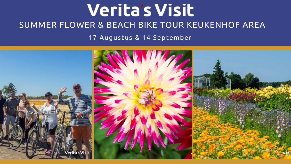 What a great reminder for the #biketour #dahlias &amp; beach by <a href="/worldloveflower/">Jeffrey & Julia - World Love Flowers</a>
 The place to find great #flower events! Also want to become a promote your flower tours via World Love Flowers?
worldloveflowers.com/promote-your-t…